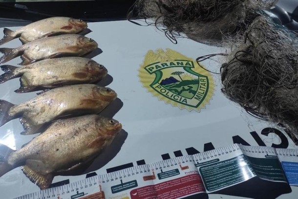 Polícia Ambiental flagra transporte ilegal de pesca em Cruzeiro do Oeste