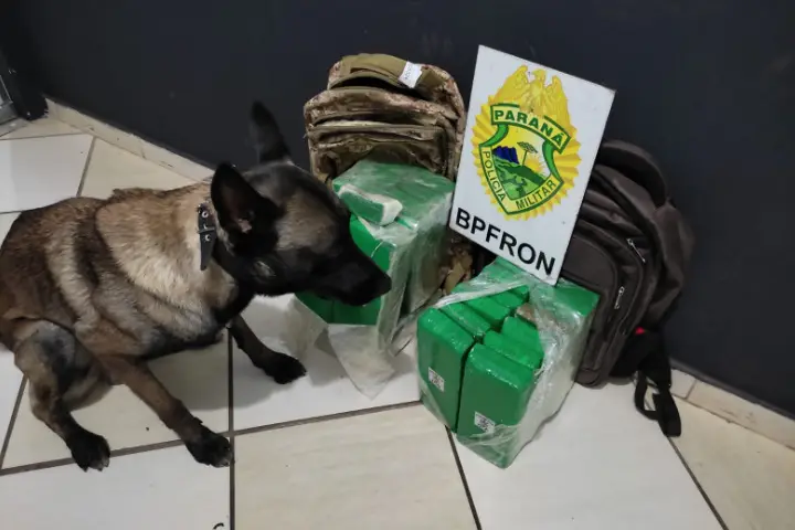 Policiais da BPFron apreendem maconha em ônibus de Umuarama