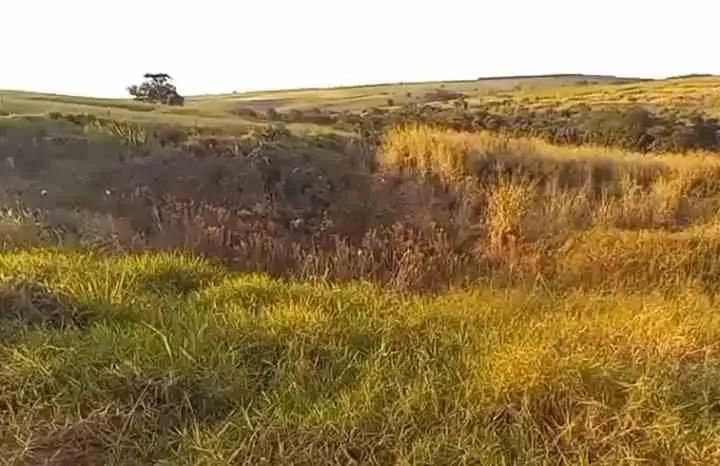 Cadáver em avançado estado de decomposição é encontrado em Tapejara