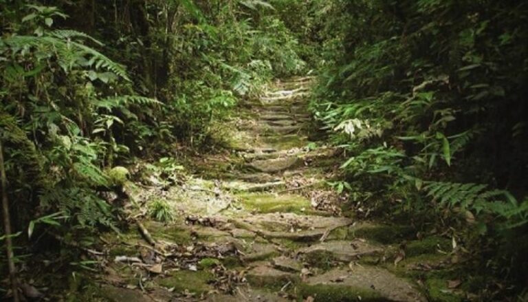 Paraná vai transformar Caminhos de Peabiru em rota turística oficial