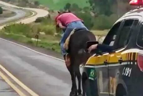 Cavalo leva homem dormindo embora e acaba sendo ‘escoltado’ pela polícia rodoviária