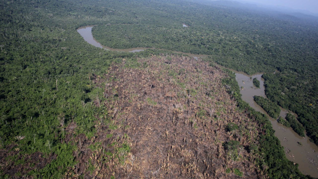 Desmatamento na Amazônia tem queda de 68% em abril em relação a 2022