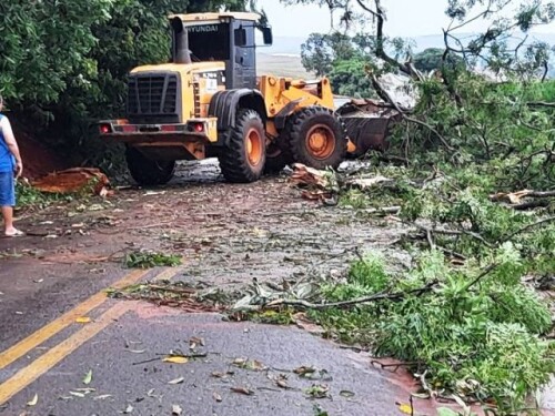 Árvores caem devido a chuvas e ventos fortes, bloqueando rodovia em Moreira Sales