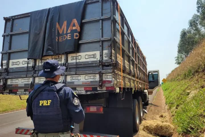 PRF Intercepta Caminhão com 250 Caixas de Cigarros Paraguaios Saindo de Umuarama