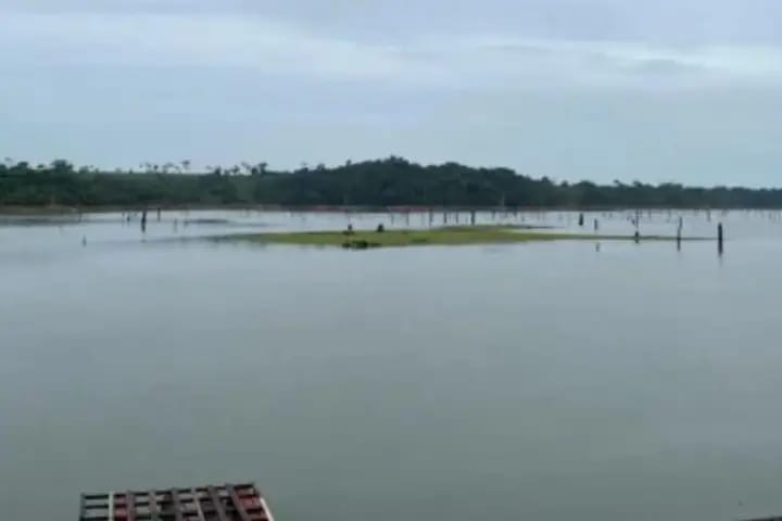 Corpo e Destroços de Helicóptero Desaparecido são Localizados em Rio no Pará