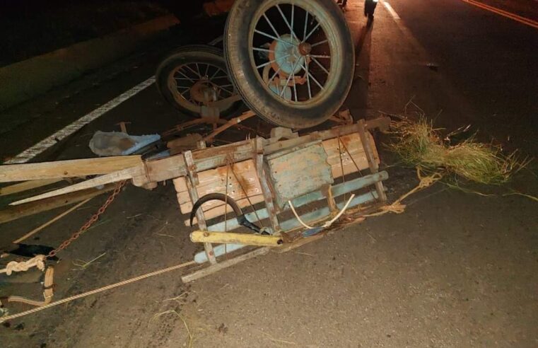 Tragédia na Rodovia PR-323: Homem perde a vida em colisão entre charrete e caminhão