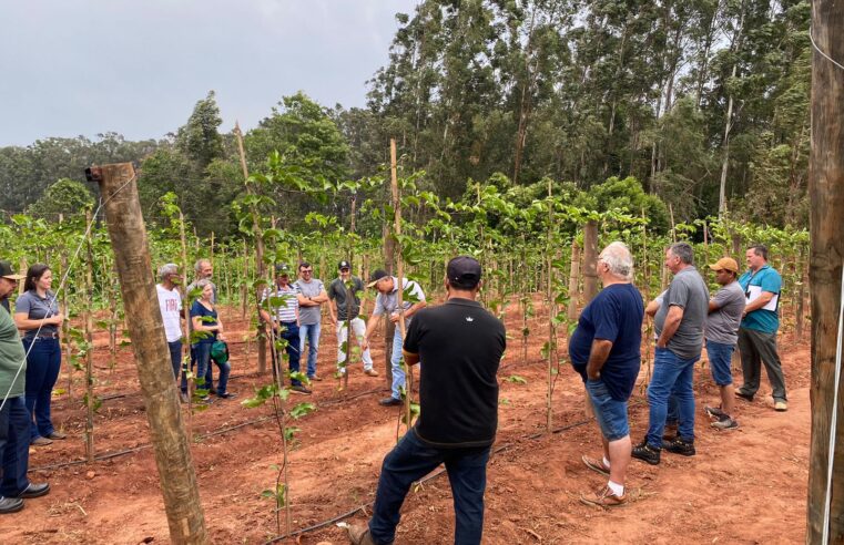 Agricultura de Cianorte com mais recursos e novos projetos