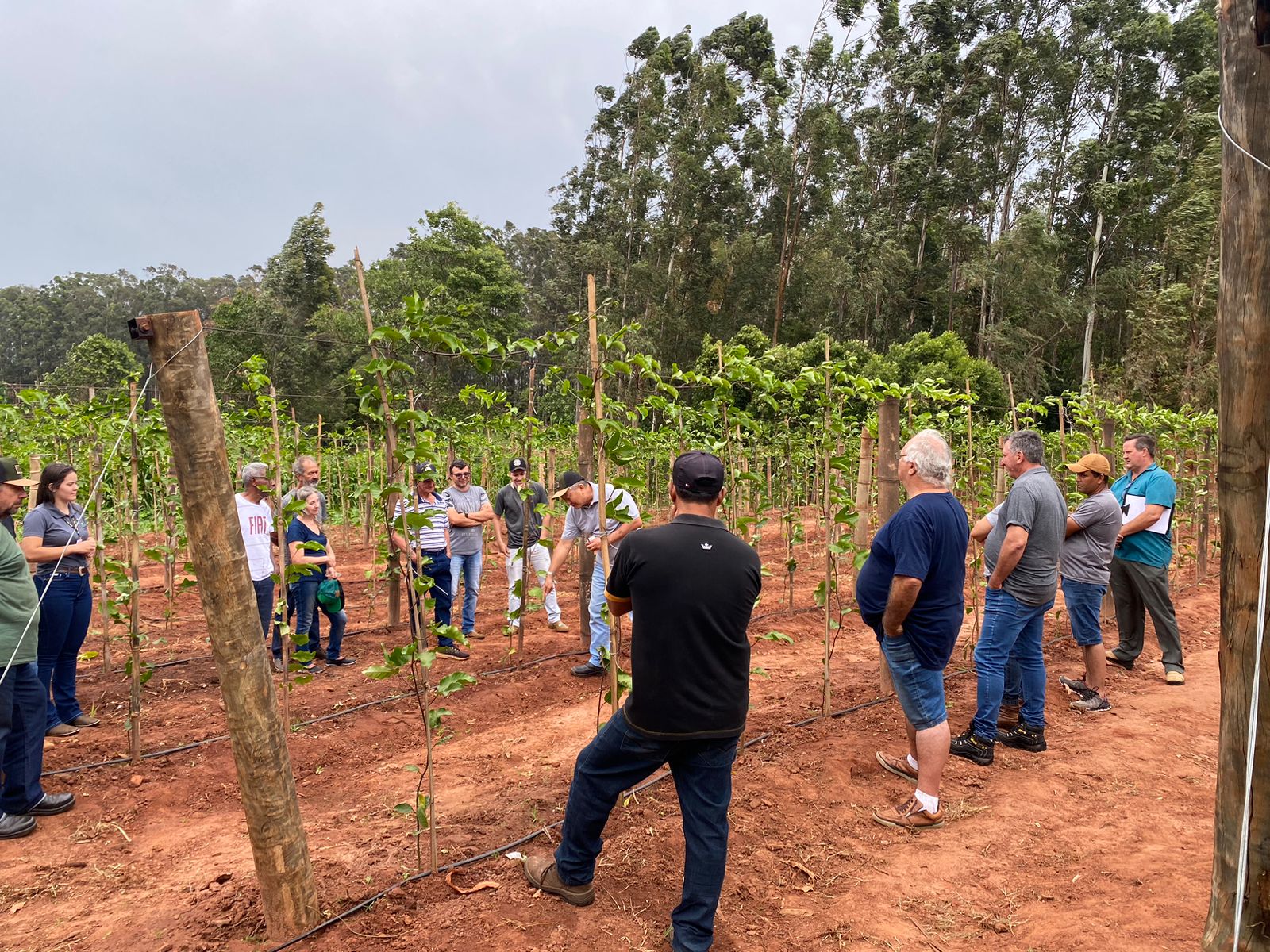 Agricultura de Cianorte com mais recursos e novos projetos