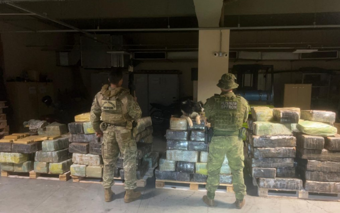 Mais de 2,7 toneladas de maconha são apreendidas em Santa Helena