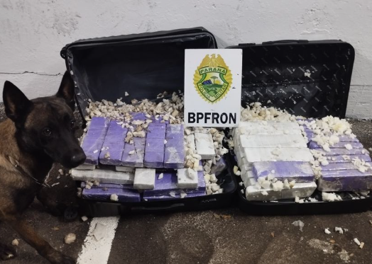 Mulher é presa transportando 66 kg de droga no ônibus em Cruzeiro do Oeste