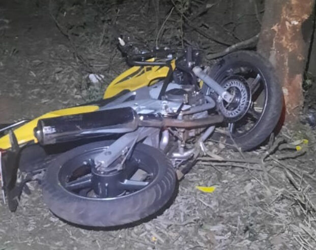 Motociclista morre após colidir contra uma árvore