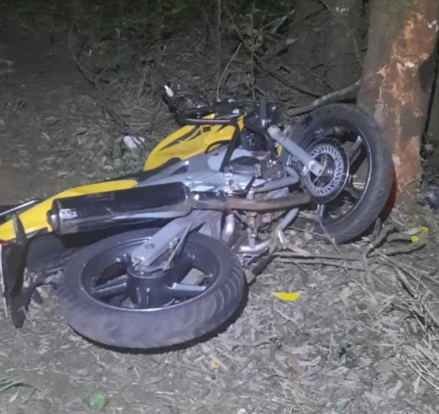 Motociclista morre após colidir contra uma árvore