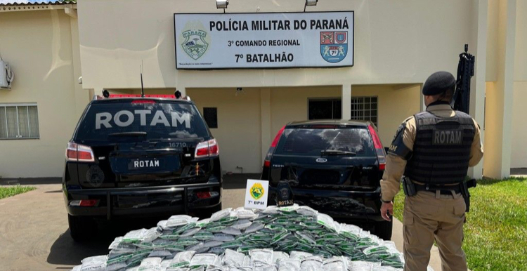 300kg de agrotóxicos contrabandeados é apreendidos  em Cruzeiro do Oeste