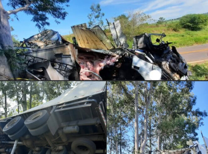 Caminhão colide com árvore na PR-550, em Munhoz de Mello