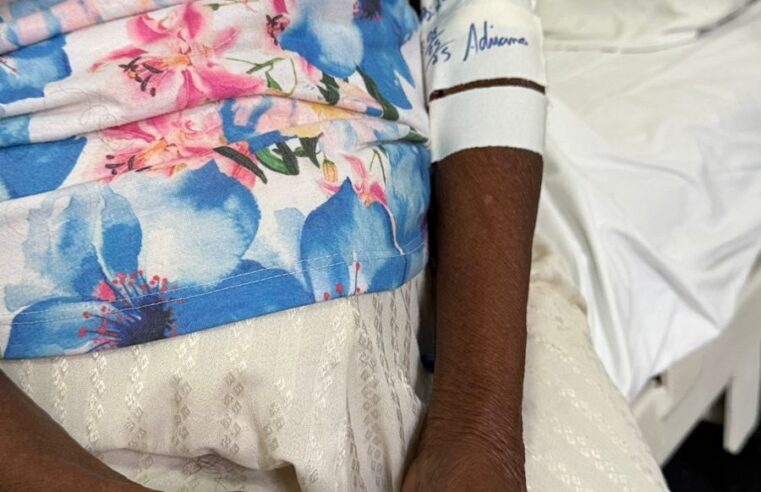 Idosa é atacada por enxame de abelhas em Japurá (PR) e sofre mais de 150 picadas