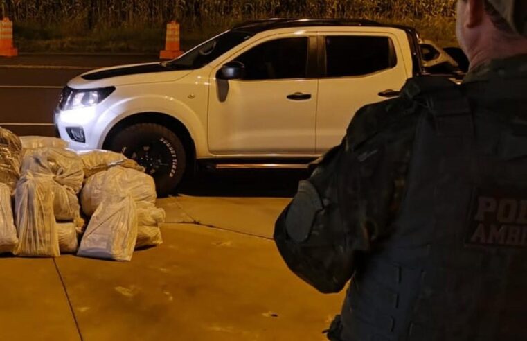 Veículo com produtos sem nota fiscal é apreendido pela Polícia Ambiental na PR-323.