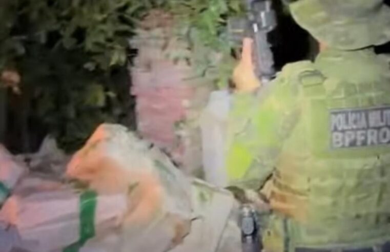 Mais de 4 toneladas de maconha são apreendidas em Terra Roxa em ação conjunta do BPFRON e Polícia Federal.