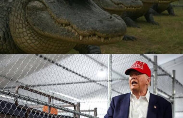 “Alcatraz dos Jacarés”: EUA inauguram prisão polêmica para imigrantes ilegais nos pântanos da Flórida.