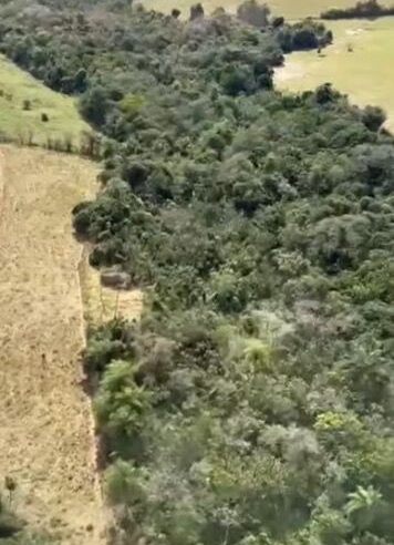 Quatro homens desaparecem em Icaraíma após cobrança de dívida milionária; buscas entram no sexto dia