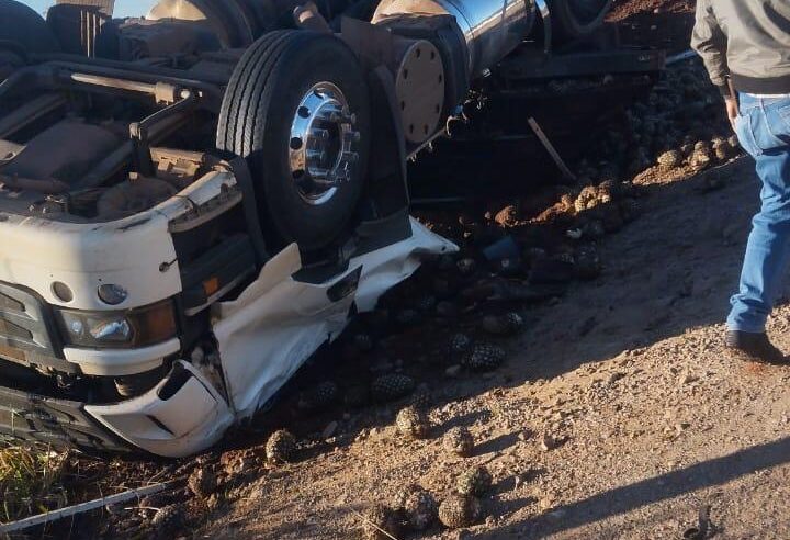 Motorista perde a vida em tombamento de carreta na PR-498