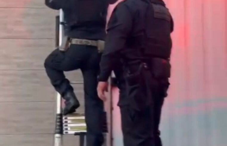 Casa de luxo escondia bunker com anabolizantes e medicamentos ilegais em Maringá, diz DENARC