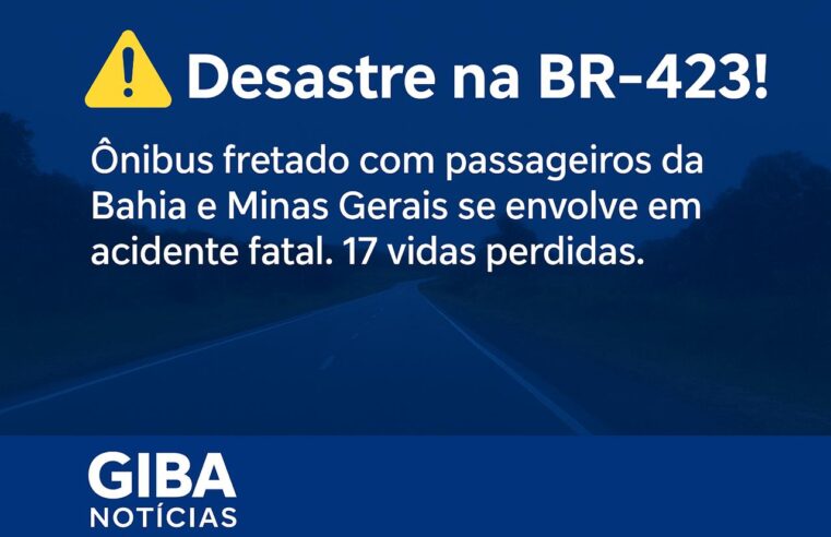 Grave acidente com ônibus fretado deixa ao menos 17 mortos na BR – 423, em Pernambuco