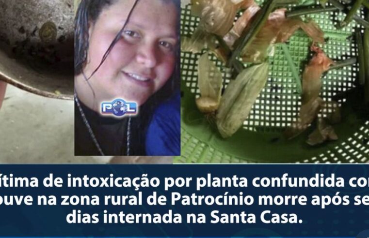 Mulher morre após se intoxicar com planta venenosa confundida com couve em Patrocínio (MG)
