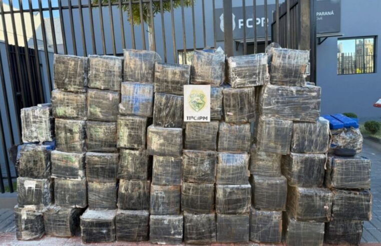 Paraná lidera apreensão de maconha no Brasil em 2025