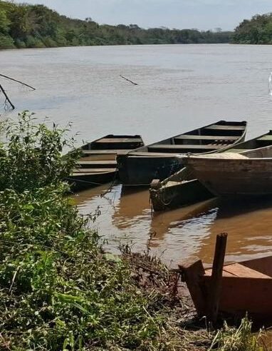 Piracema começa neste sábado e restringe pesca de espécies nativas no Paraná até fevereiro