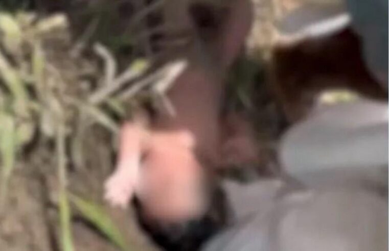 Recém-Nascido é Encontrado Vivo em Pasto no Norte do ES e Caso Gera Comoção Regional