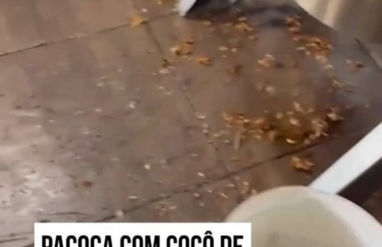 Fábrica clandestina de doces é descoberta em Campinas; local tinha fezes de roedores