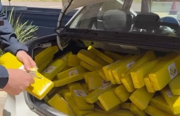 PRF intercepta quase 300 kg de maconha em abordagem na BR-487, em Alto Paraíso