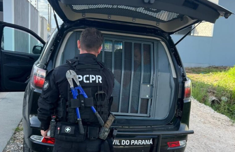 Operação conjunta entre PCPR e PCSC desarticula quadrilha envolvida em roubos e fraudes de cargas interestaduais