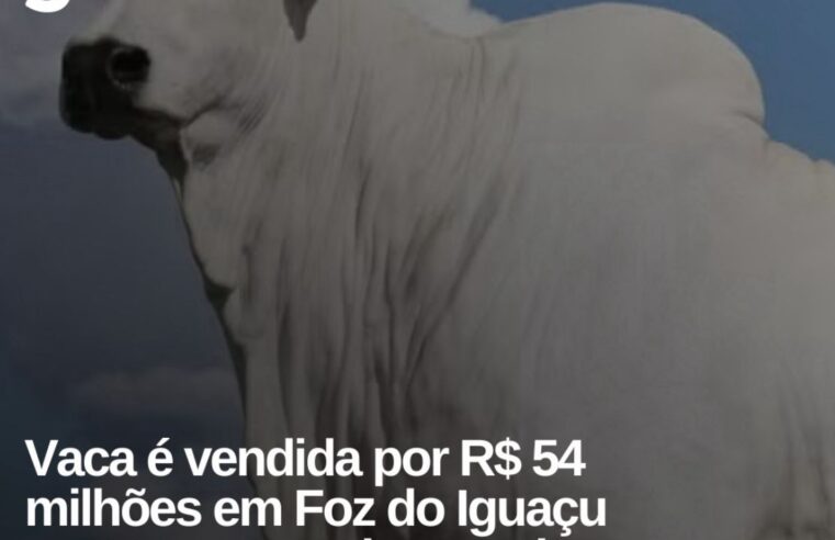 Vaca Nelore é Vendida por R$ 54 Milhões e Bate Novo Recorde Mundial em Leilão no Paraná
