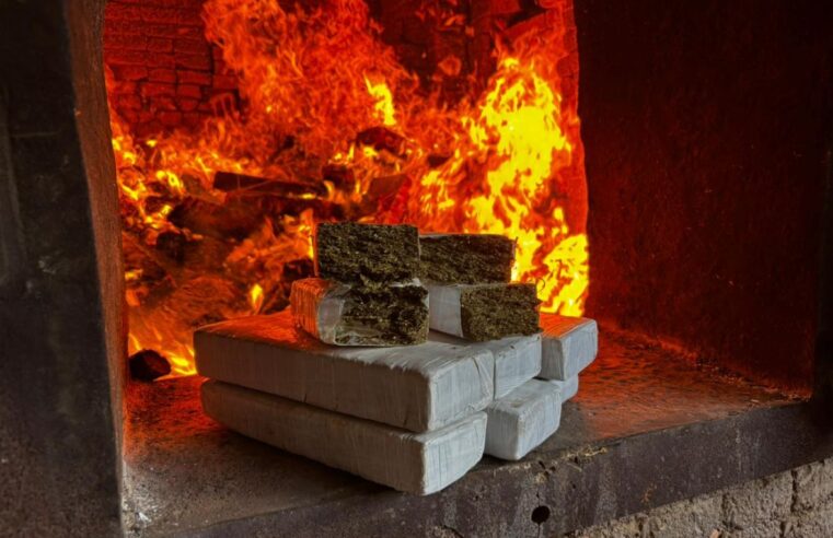 PCPR REALIZA MAIOR INCINERAÇÃO DE ENTORPECENTES JÁ REGISTRADA EM PALMEIRA