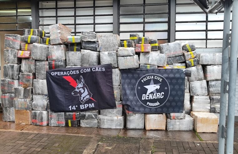 Ação integrada das forças de segurança resulta na apreensão de 4,6 toneladas de maconha no Oeste do Paraná