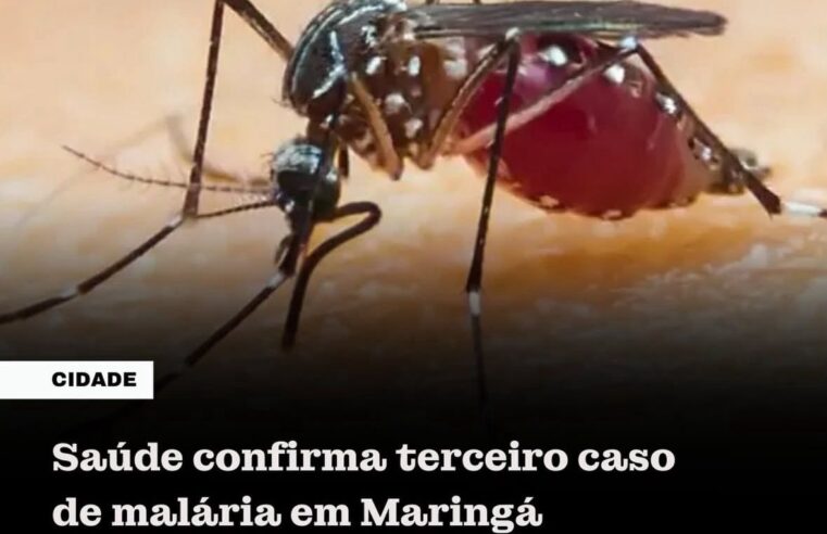 Maringá registra três casos importados de malária após viagens à África