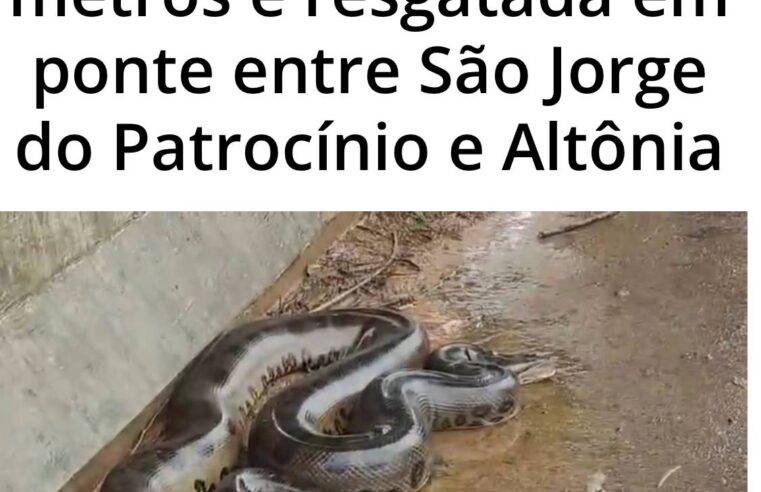 Sucuri é resgatada com segurança em ponte entre São Jorge do Patrocínio e Altônia