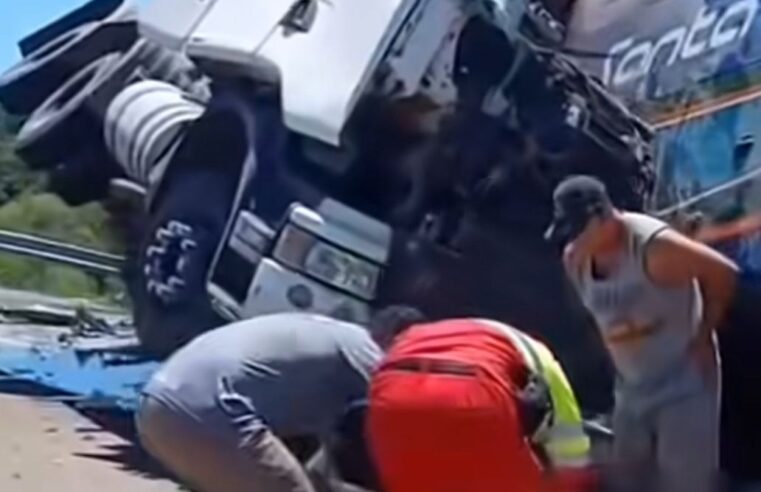 Grave colisão entre ônibus e carreta deixa seis mortos na BR-116, em Pelotas