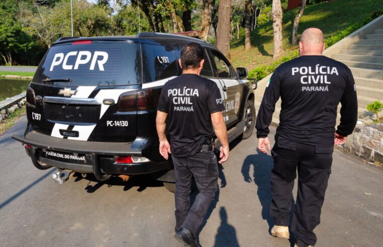 PCPR resgata cães e gatos vítimas de maus-tratos em Piraquara