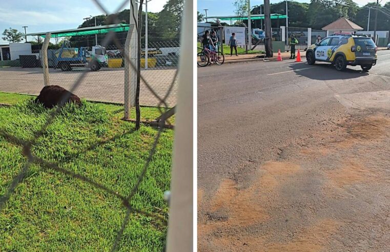 EXECUÇÃO EM CAMPO MOURÃO: HOMICÍDIO A TIROS MOBILIZA FORÇAS DE SEGURANÇA NESTA SEXTA-FEIRA (20)