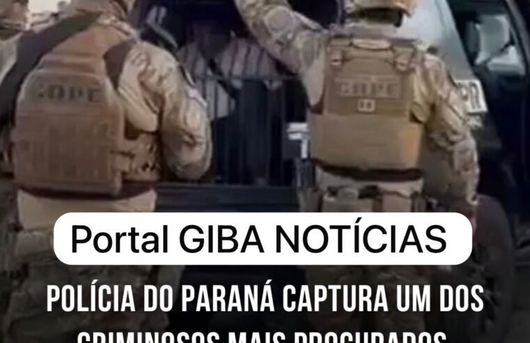 UM DOS CRIMINOSOS MAIS PROCURADO DO BRASIL É PRESO APÓS MEGAOPERAÇÃO DA PCPR