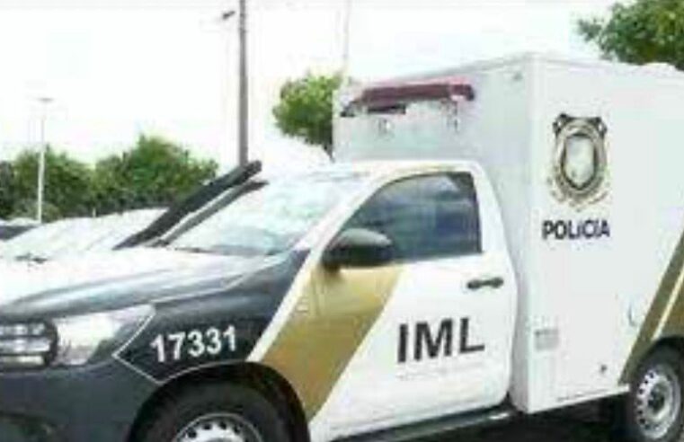 Ossada é encontrada em área rural de Quarto Centenário durante colheita de soja