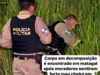Corpo em decomposição é encontrado em matagal após moradores sentirem forte mau cheiro em Maringá