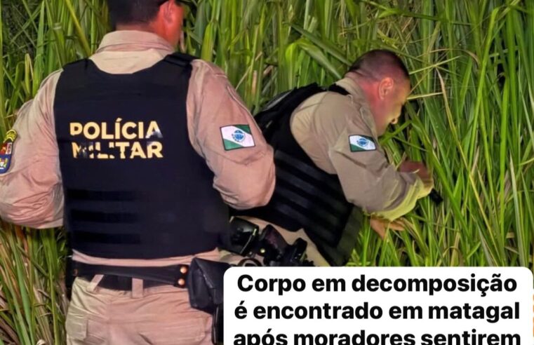 Corpo em decomposição é encontrado em matagal após moradores sentirem forte mau cheiro em Maringá