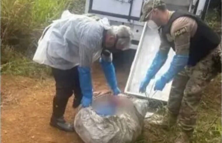 Crime brutal: genro mata sogro a mando da esposa, esquarteja corpo e tenta alimentar pitbull com os restos