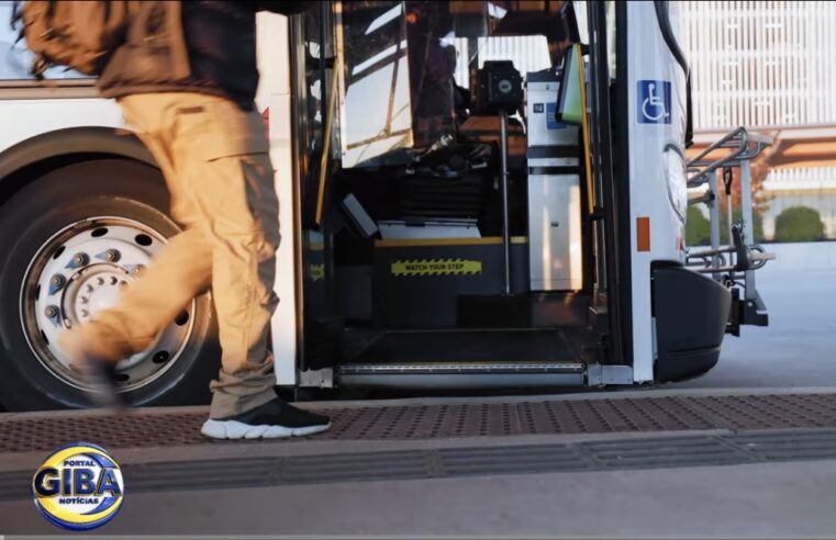 CIANORTE PR: TRANSPORTE ESCOLAR EM FOCO