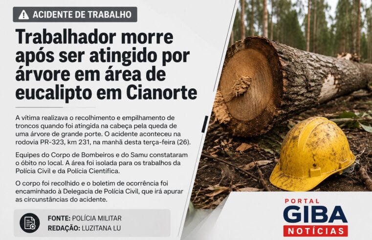Trabalhador morre após ser atingido por árvore em área de eucalipto em Cianorte