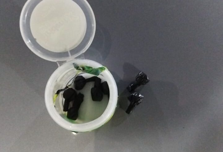 SUSPEITOS SÃO DETIDOS COM DROGAS APÓS FUGA EM CIANORTE