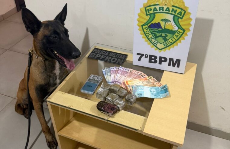 QUATRO HOMENS SÃO PRESOS POR TRÁFICO DE DROGAS DURANTE OPERAÇÃO EM GOIOERÊ